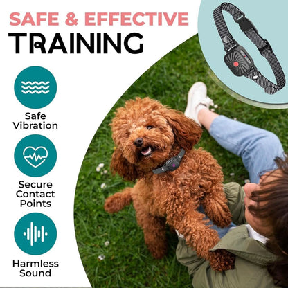 Skorter | Anti-bark collar for small dogs with sound & vibration