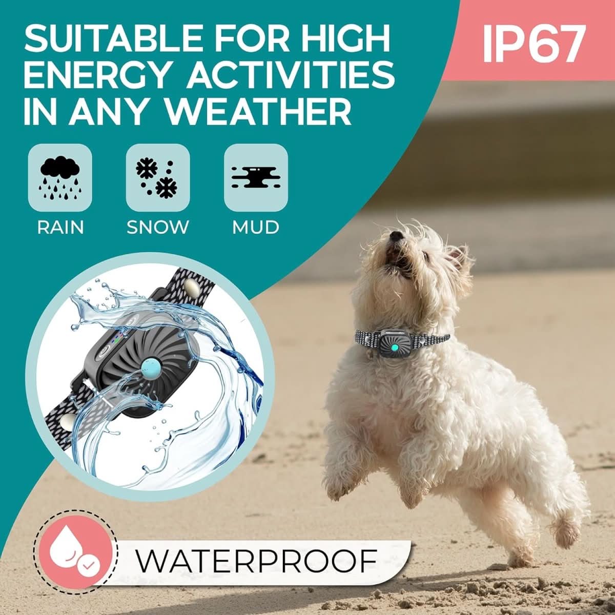 Skorter | Anti-bark collar for small dogs with sound & vibration