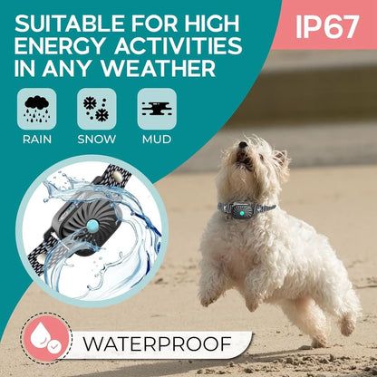 Skorter | Anti-bark collar for small dogs with sound & vibration