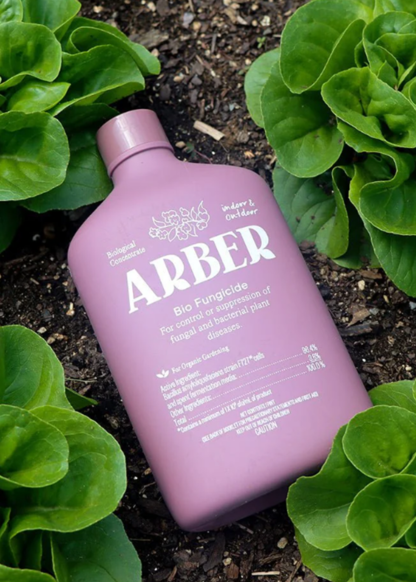 Skorter | Arber Organic Bio Fungicide