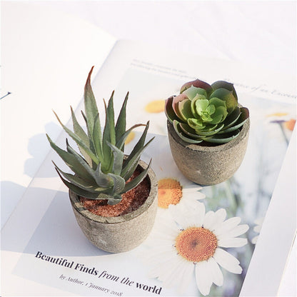 Skorter | Verdea Artificial Succulent Plant Decor