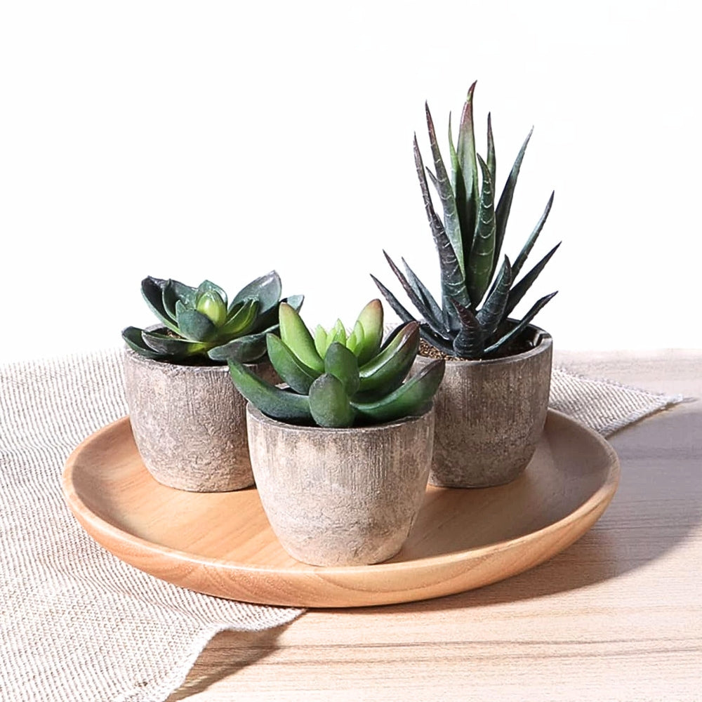 Skorter | Verdea Artificial Succulent Plant Decor