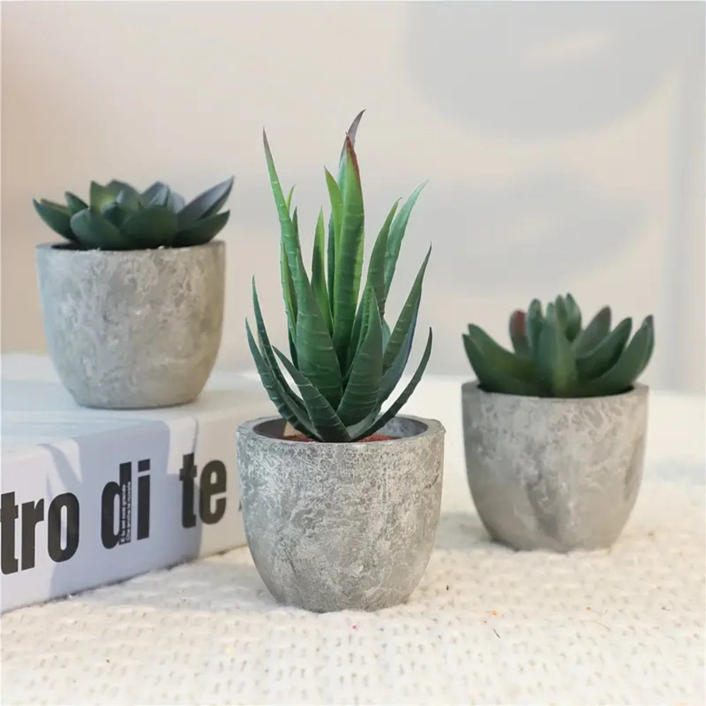 Skorter | Verdea Artificial Succulent Plant Decor