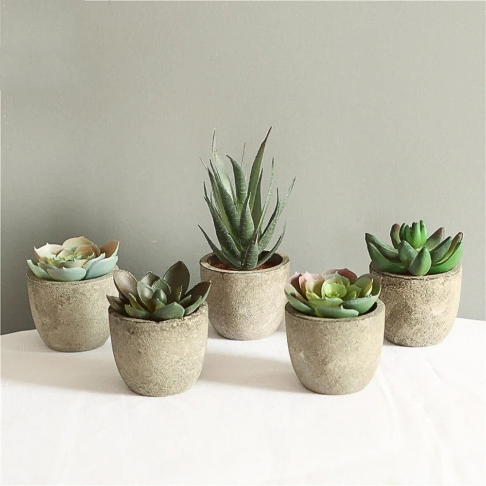 Skorter | Verdea Artificial Succulent Plant Decor