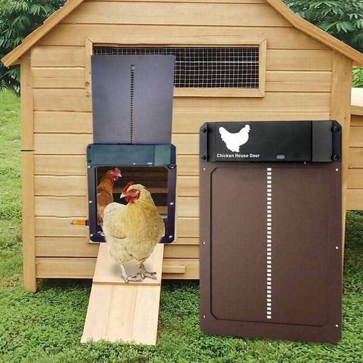 Skorter | Automatic Chicken Coop Door with Light Sensor & Weather Protection