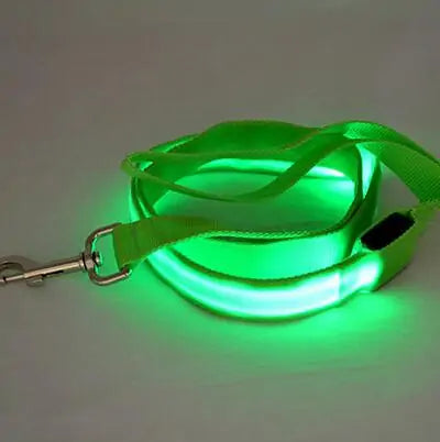 Skorter | Leash for dogs glow in the dark