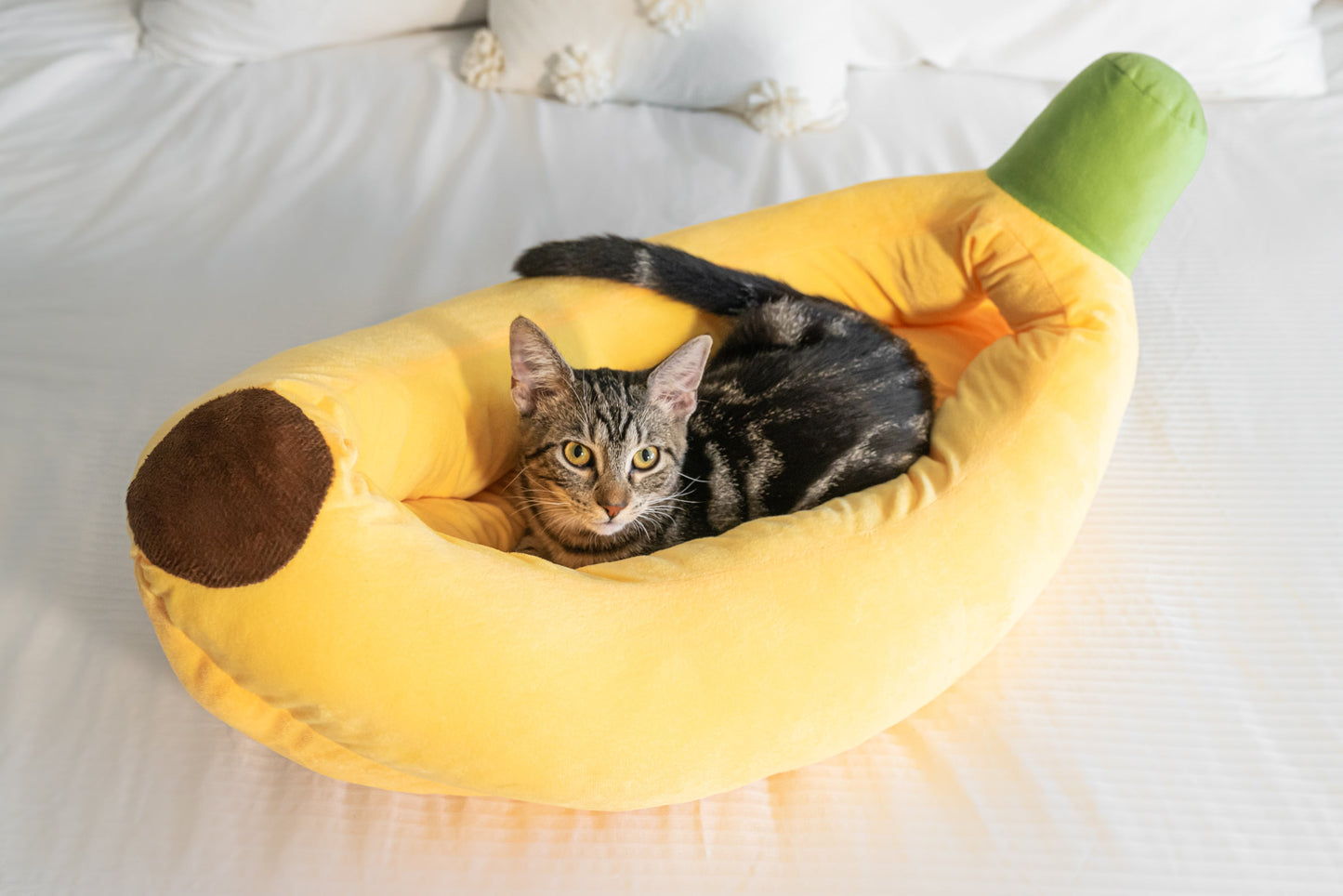 Skorter | Banana Cat Bed