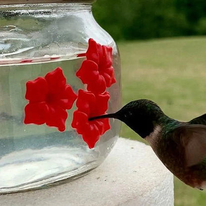 skorter | Beautiful Mason Jar Hummingbird Feeder With Three Openings