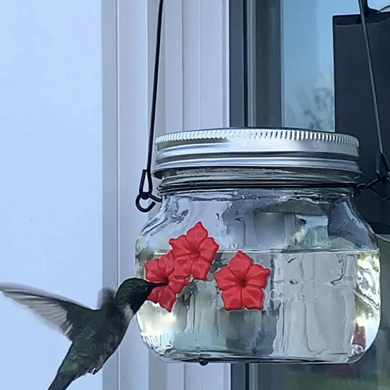 skorter | Beautiful Mason Jar Hummingbird Feeder With Three Openings