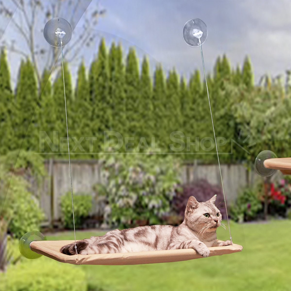 Skorter | Best Cat Window Hammock Sleeping Space