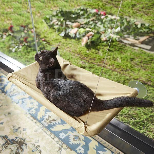 Skorter | Best Cat Window Hammock Sleeping Space