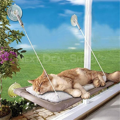 Skorter | Best Cat Window Hammock Sleeping Space