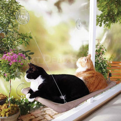 Skorter | Best Cat Window Hammock Sleeping Space