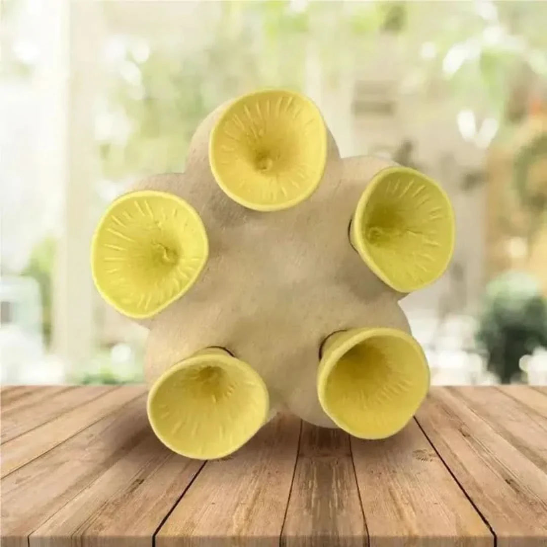 Skorter | Bee Insect Drinking Cup Set