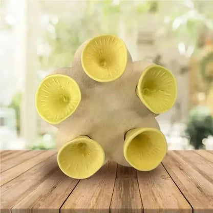 Skorter | Bee Insect Drinking Cup Set