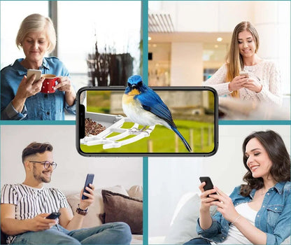 Skorter | Smart Solar Bird Feeder with Bird Recognition – Weatherproof Garden Feeder