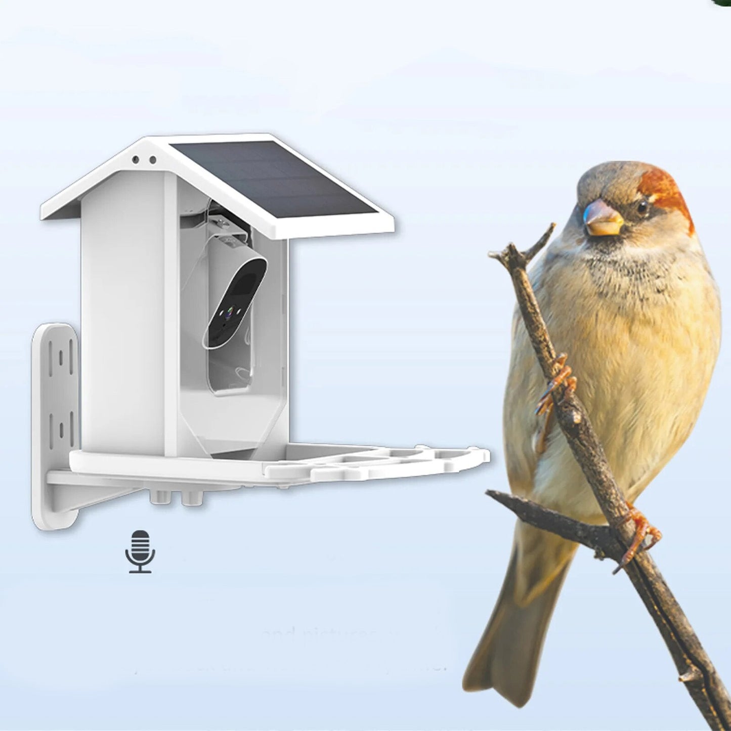 Skorter | Smart Solar Bird Feeder with Bird Recognition – Weatherproof Garden Feeder