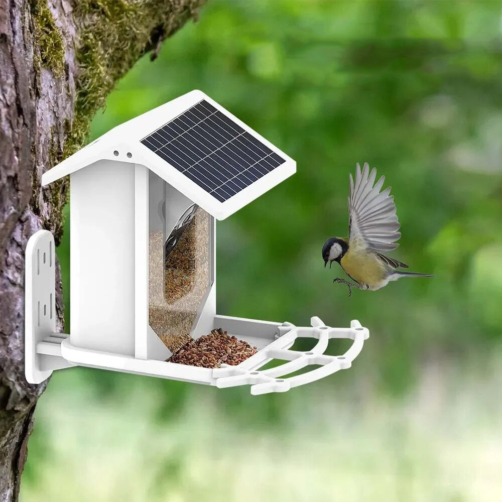 Skorter | Smart Solar Bird Feeder with Bird Recognition – Weatherproof Garden Feeder