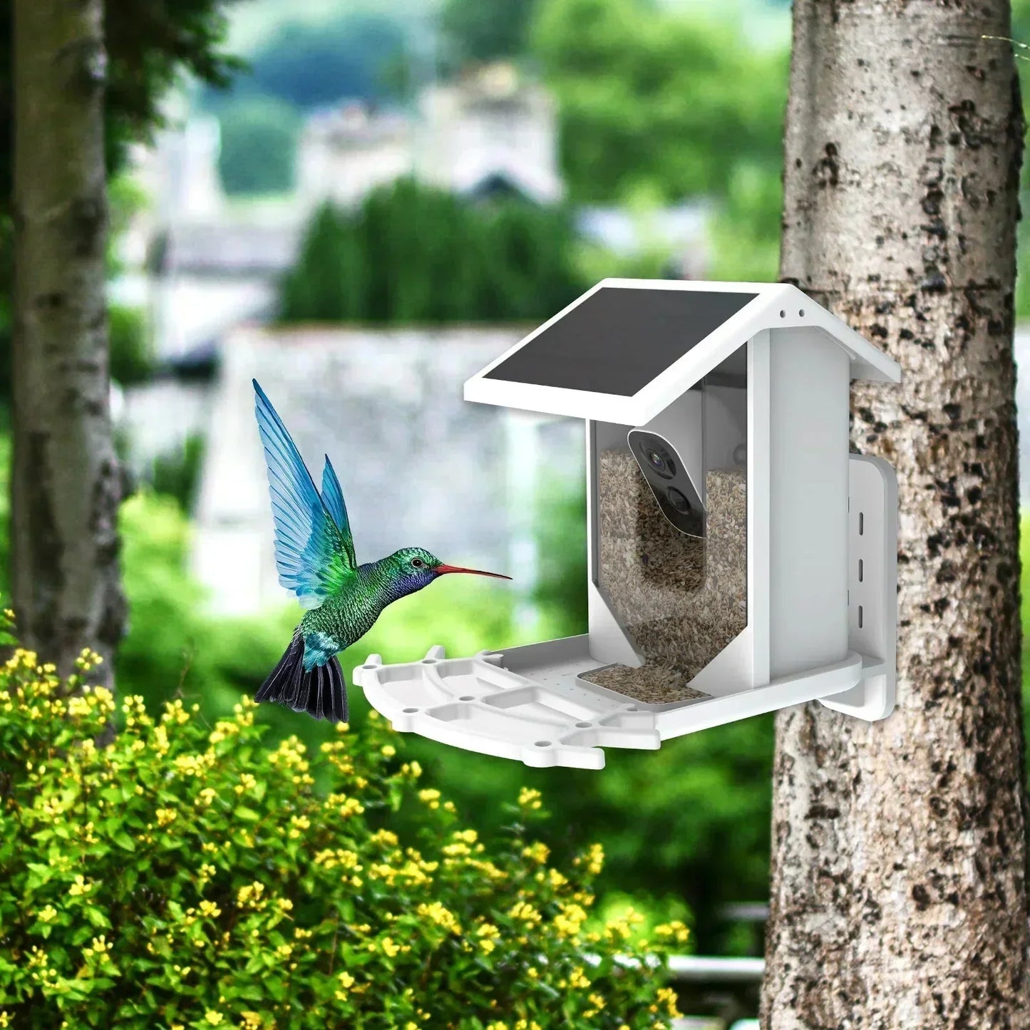Skorter | Smart Solar Bird Feeder with Bird Recognition – Weatherproof Garden Feeder