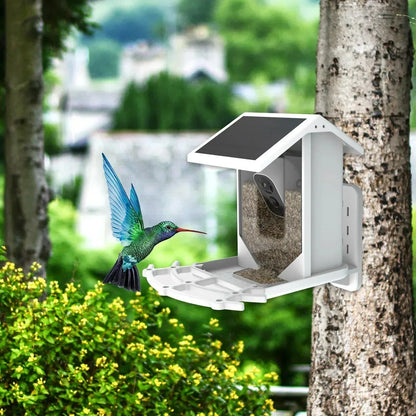 Skorter | Smart Solar Bird Feeder with Bird Recognition – Weatherproof Garden Feeder