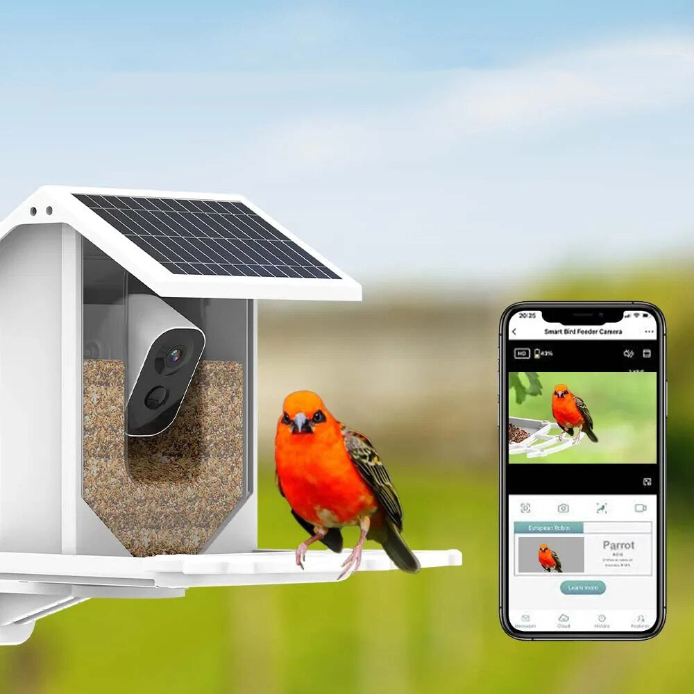 Skorter | Smart Solar Bird Feeder with Bird Recognition – Weatherproof Garden Feeder