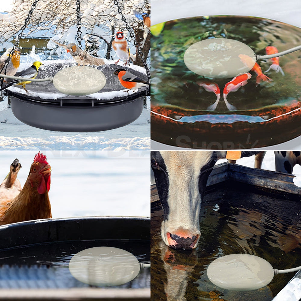 Skorter | Bird Bath Heater with Built-in Thermostat