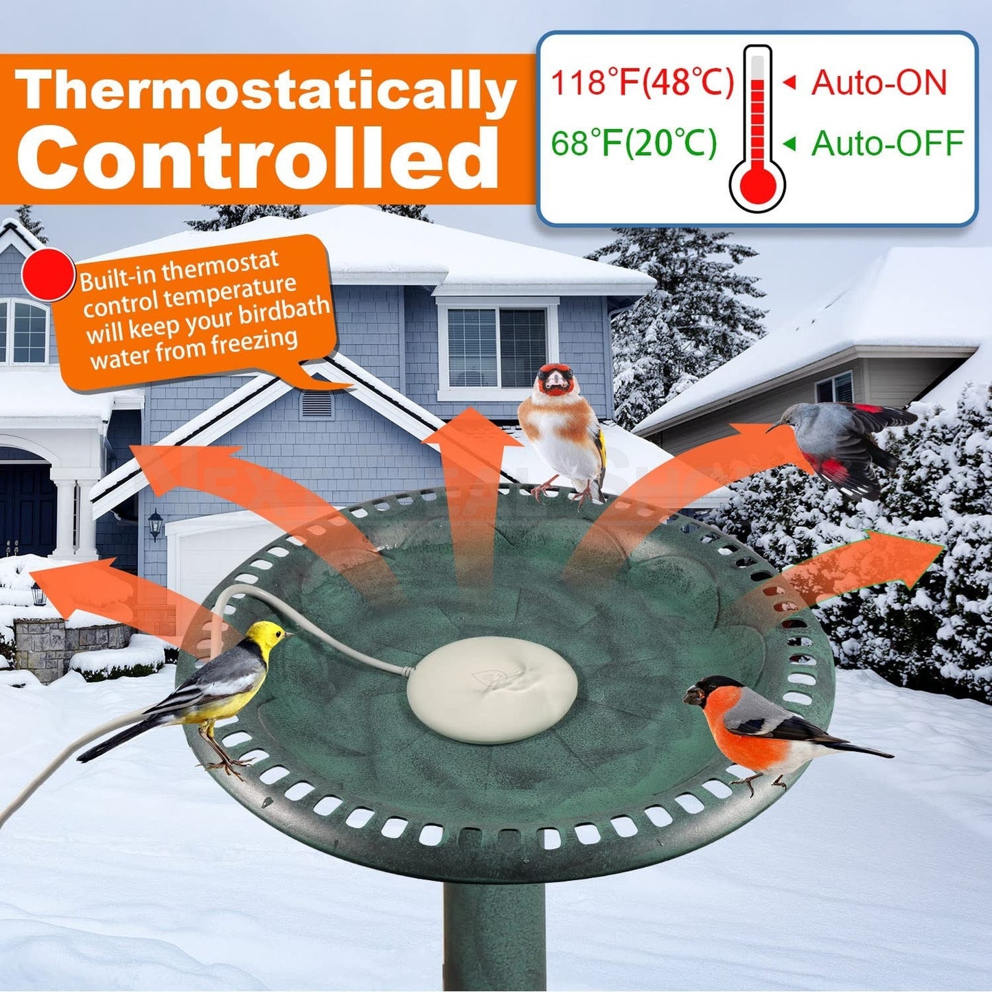 Skorter | Bird Bath Heater with Built-in Thermostat
