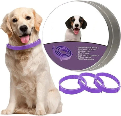 Skorter | Calming collar with pheromones & essential oils for dogs
