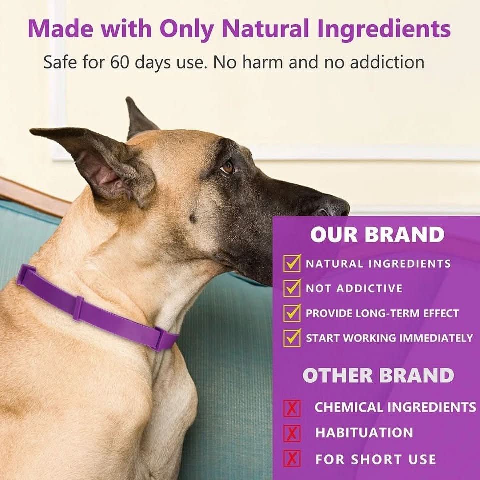 Skorter | Calming collar with pheromones & essential oils for dogs