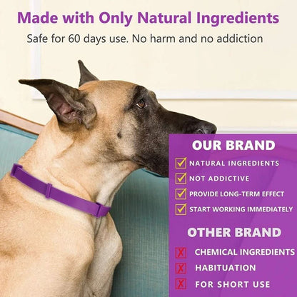 Skorter | CALMDOG – Calming collar with pheromones & essential oils for dogs