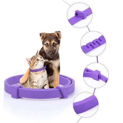 Skorter | Calming collar with pheromones & essential oils for dogs