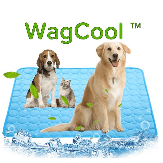 Skorter | Cooling dog mat for hot days & instant refreshment