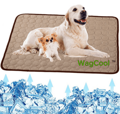 Skorter | Cooling dog mat for hot days & instant refreshment