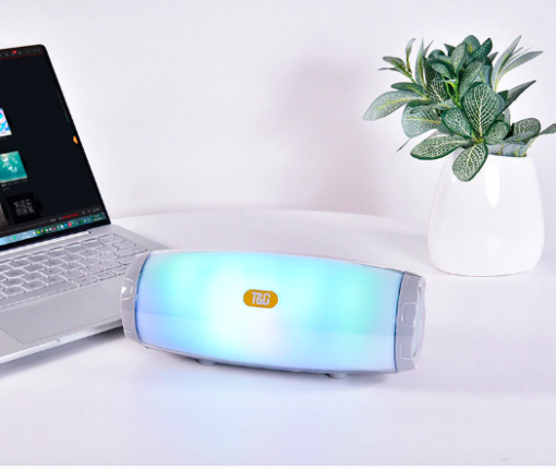 Skorter | Bluetooth Led Speaker
