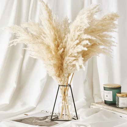 Skorter | Naturally Dried Pampas Bouquet