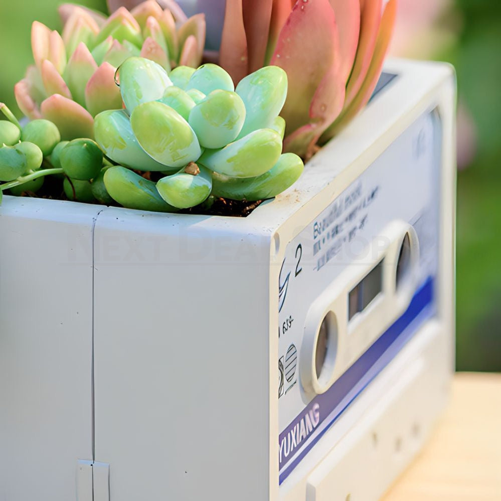 Skorter | Cassette Tape Succulent Plant Holder