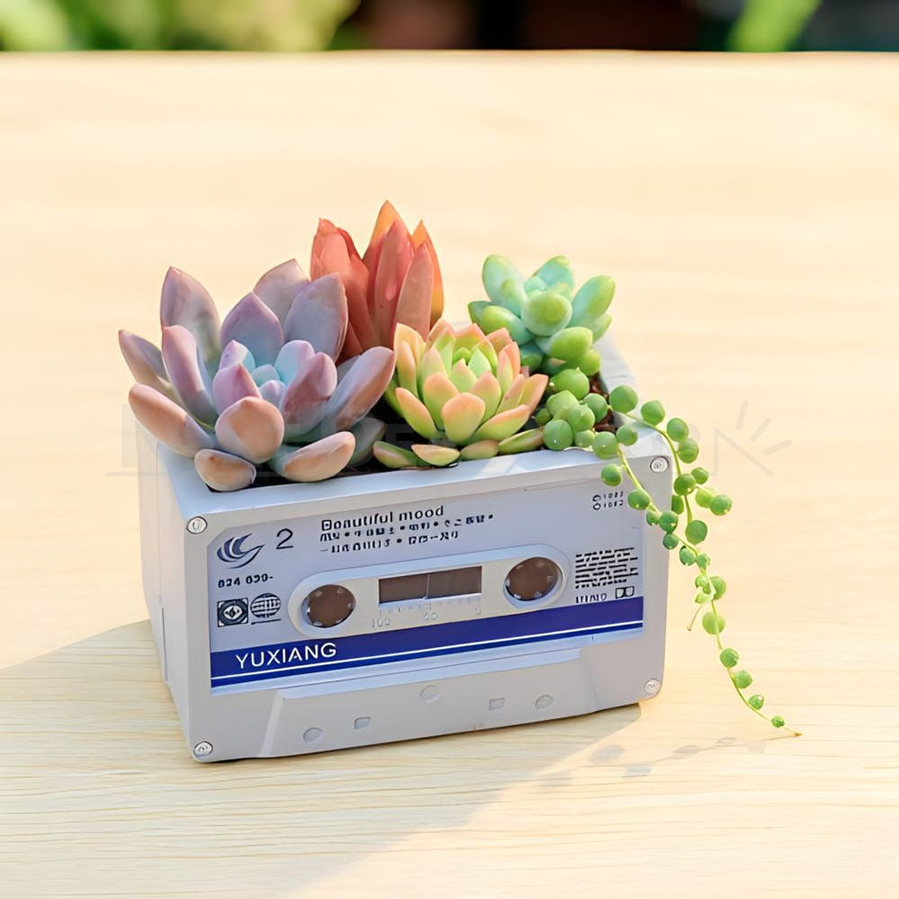 Skorter | Cassette Tape Succulent Plant Holder