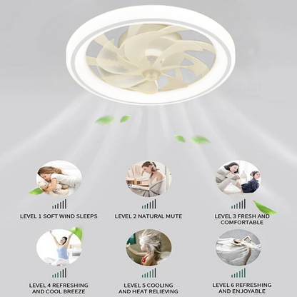 Skorter | Smart Bedroom Ceiling Fan with LED Lights