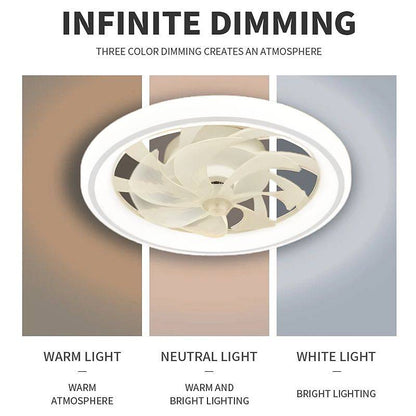 Skorter | Smart Bedroom Ceiling Fan with LED Lights