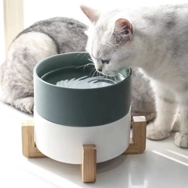 Skorter | Ceramic Feeding Bowls