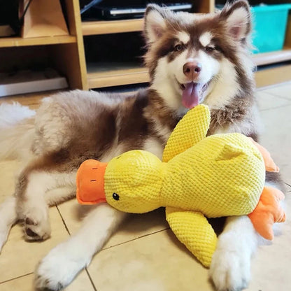 Skorter | Calming duck for dogs