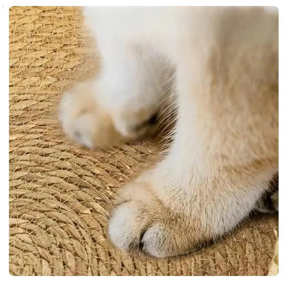 Skorter | Cozypets – Super soft and comfortable cat bed