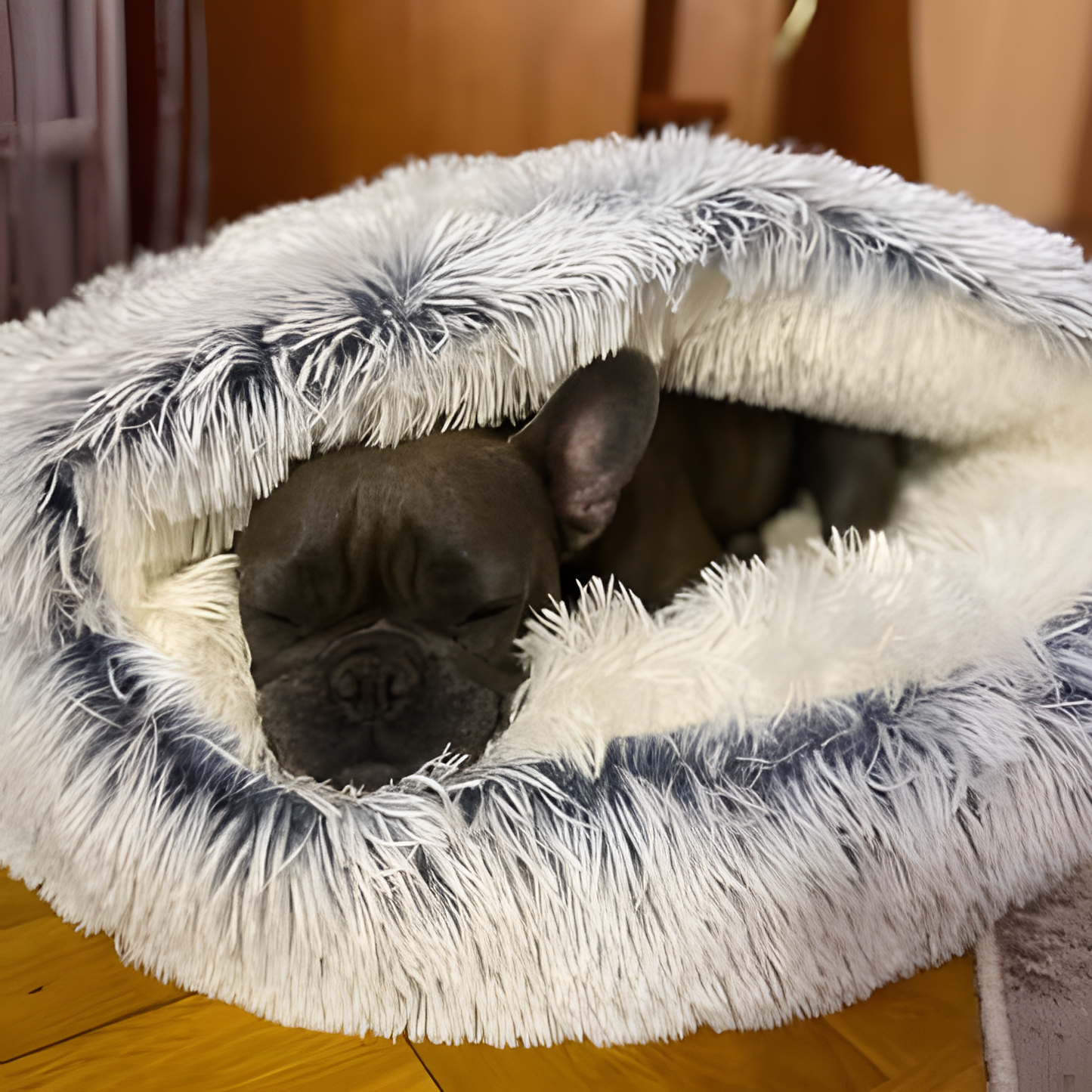 Skorter | Cozycave - Soft Plush Pet Bed