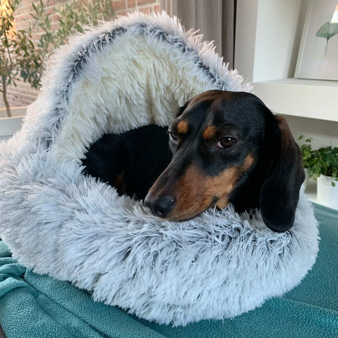 Skorter | Cozycave - Soft Plush Pet Bed