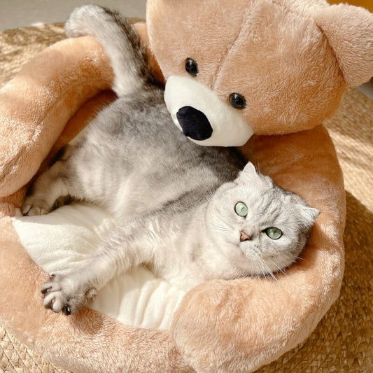 Skorter | Cute detachable cuddly bear cat bed