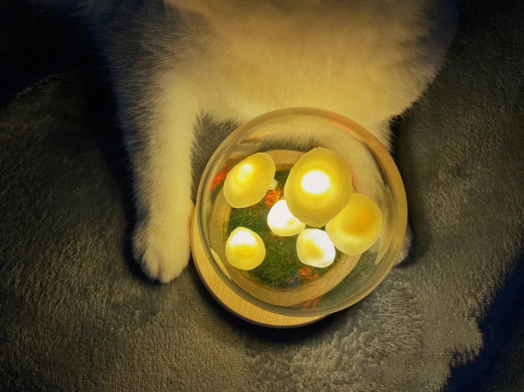 Skorter | DIY Mushrooms in Forests Light