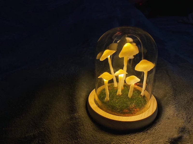 Skorter | DIY Mushrooms in Forests Light
