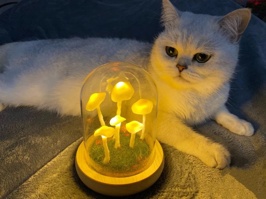 Skorter | DIY Mushrooms in Forests Light