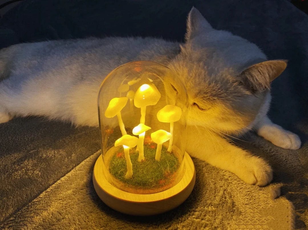 Skorter | DIY Mushrooms in Forests Light