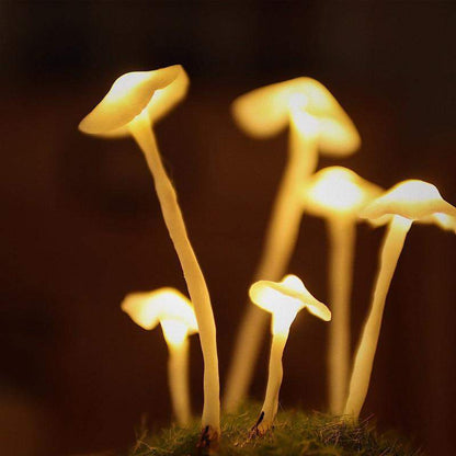 Skorter | DIY Mushrooms in Forests Light